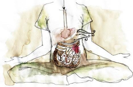 AMA: uma introdução ao Estudo das Toxinas no Ayurveda - Indiamed