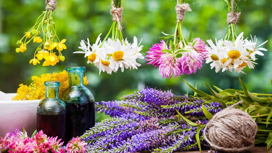 Fitoterapia: abordagem no Ayurveda e nas Terapias Naturais - Indiamed