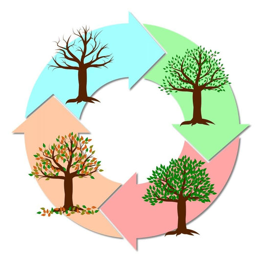TRANSFORMAÇÕES DO AMBIENTE E O IMPACTO NOS DOSHAS - Indiamed