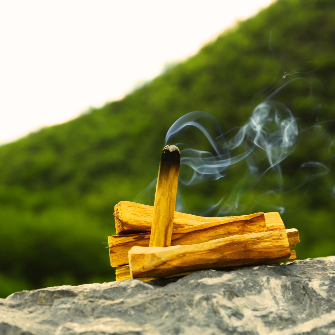 Palo Santo - incenso natural