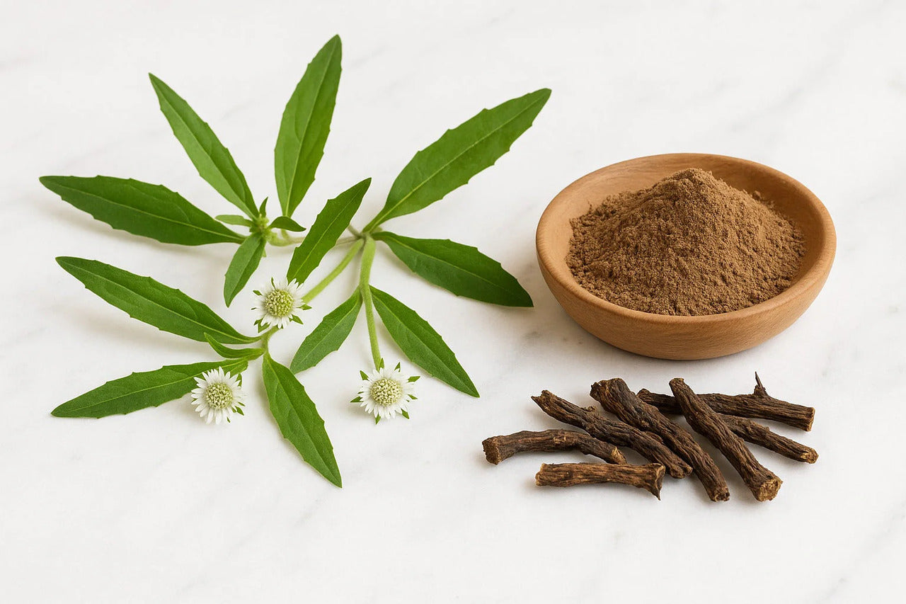 Bhringaraj Cápsulas - 500mg