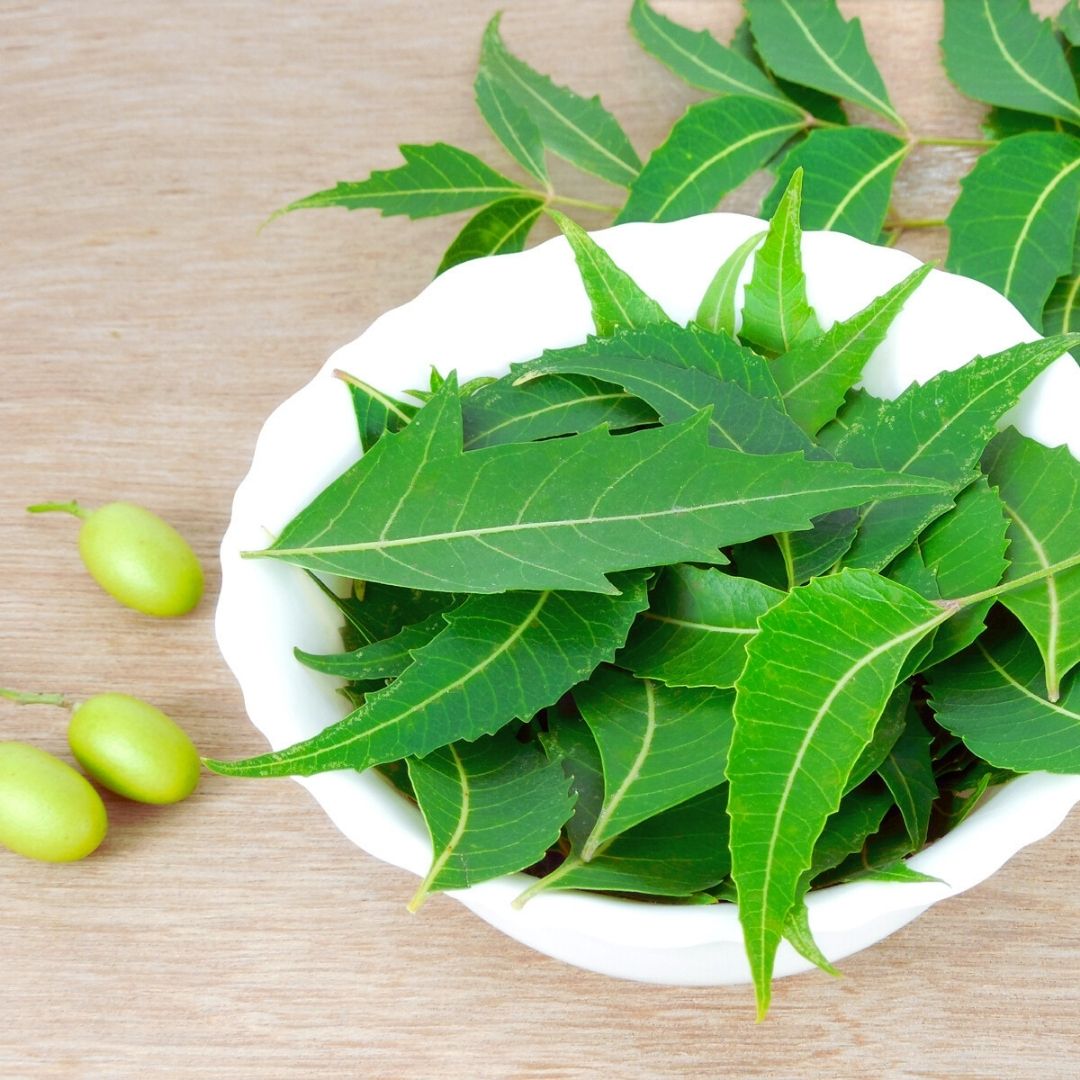 Óleo de Neem