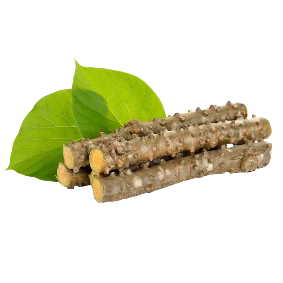 Guduchi 500mg