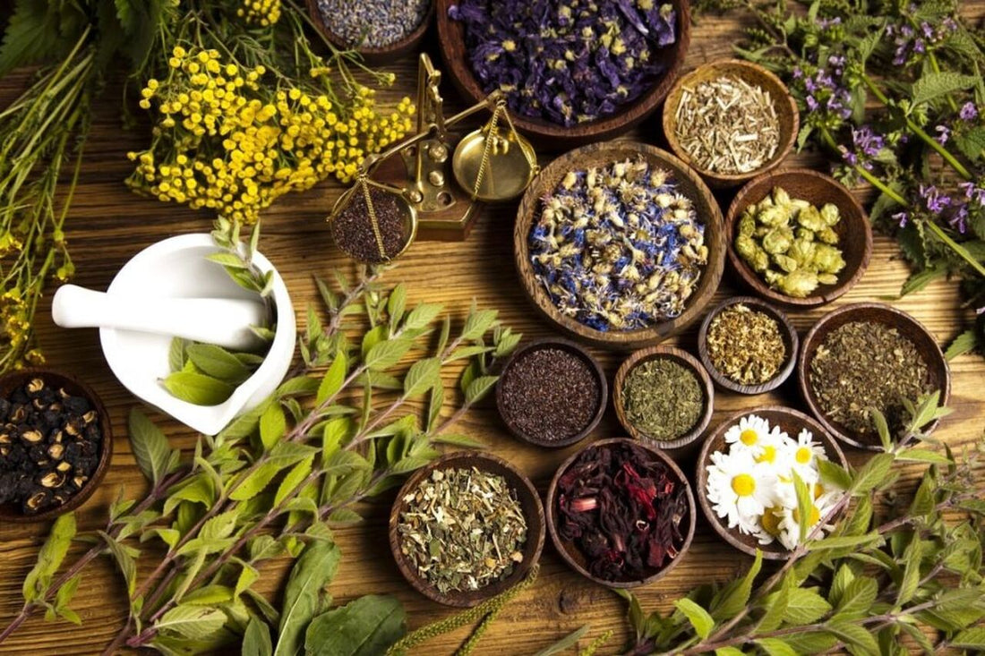 Fitoterapia: glossário Ayurveda e Yoga