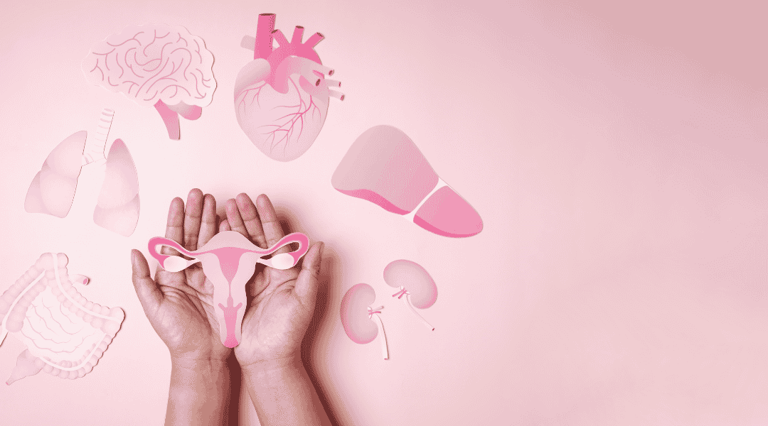Menopausa tratamento natural