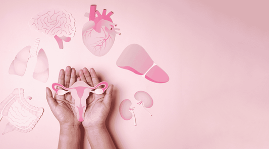 Menopausa tratamento natural