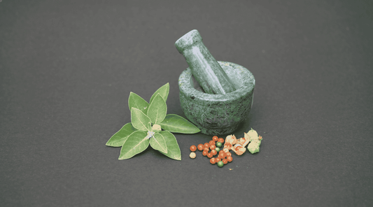 Plantas Adaptógenas: Guia Completo sobre Benefícios e Como Usar