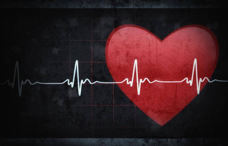 A saúde do Coração no Ayurveda - Indiamed
