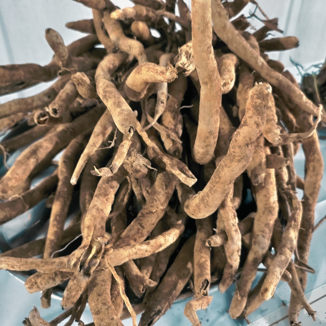 Ashwagandha: comprar Extrato em Pó