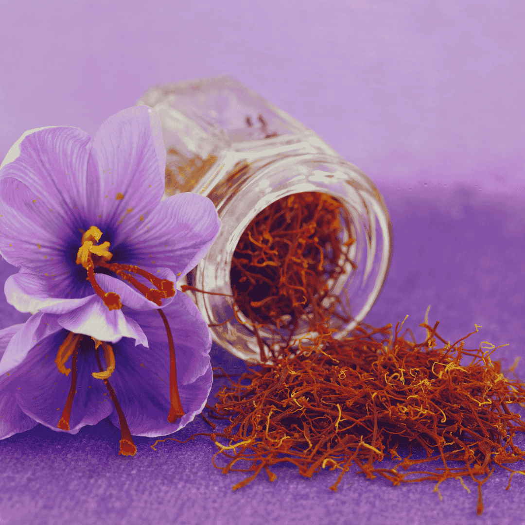 Sérum Hidratante - Kumkumadi Taila