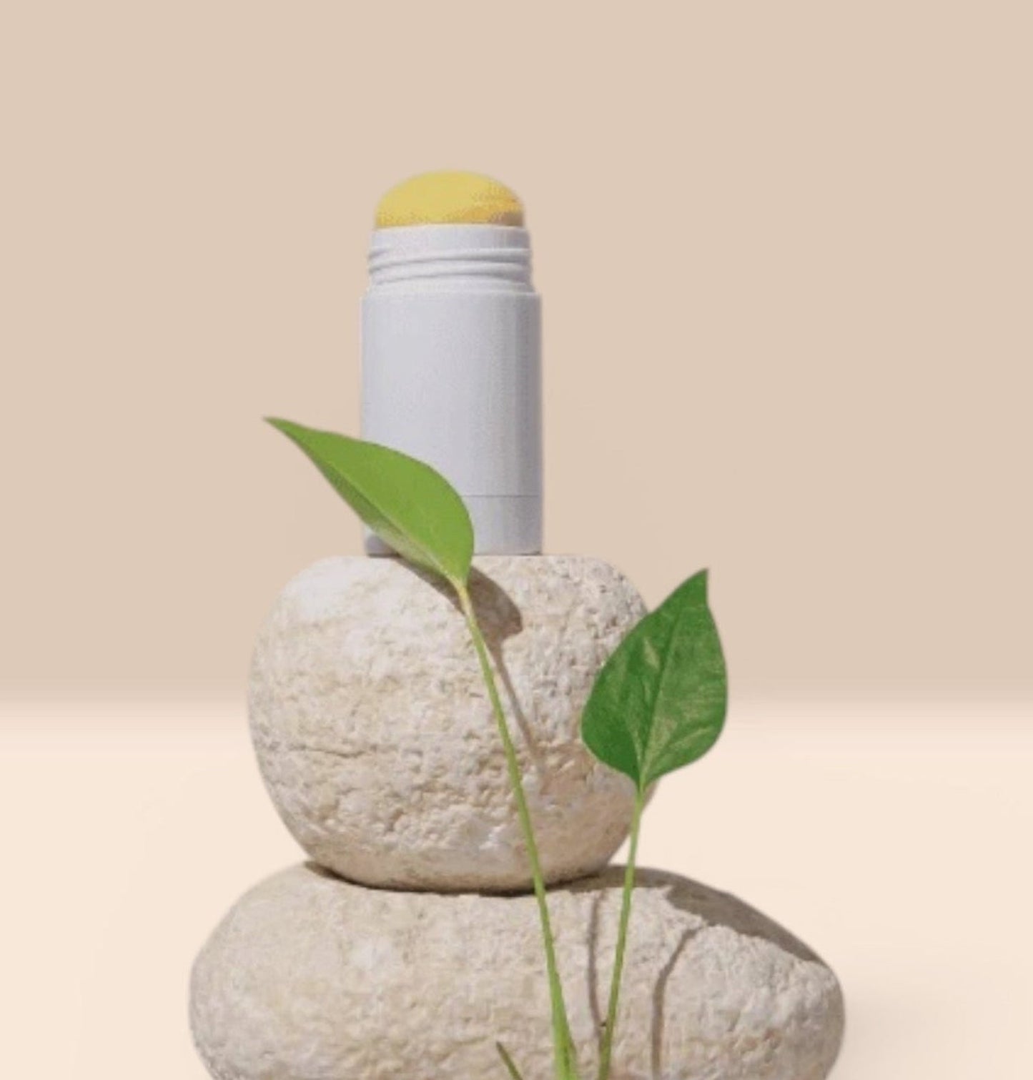 fitoterapico para menopausa