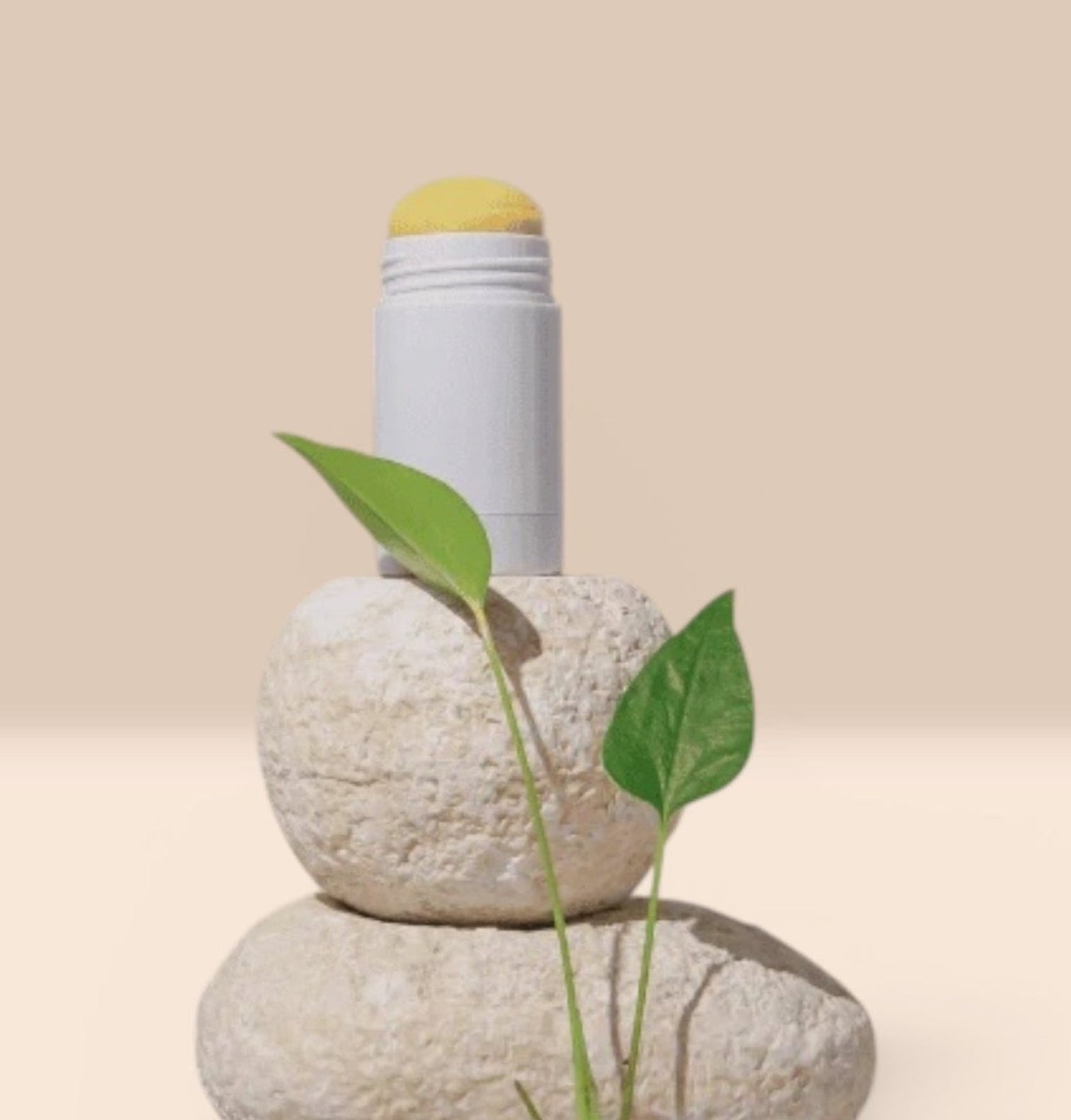 fitoterapico para menopausa