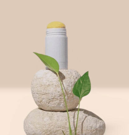 fitoterapico para menopausa