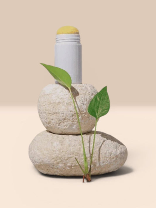 fitoterapico para menopausa