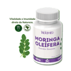 Moringa em Cápsulas - Moringa Oleífera