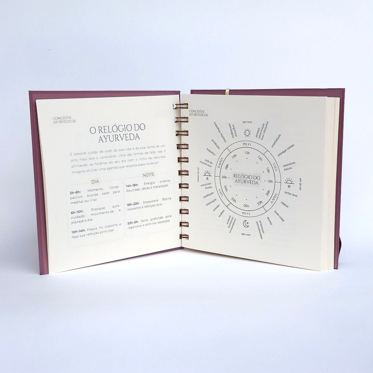 Planner 2026 - Rotina Real