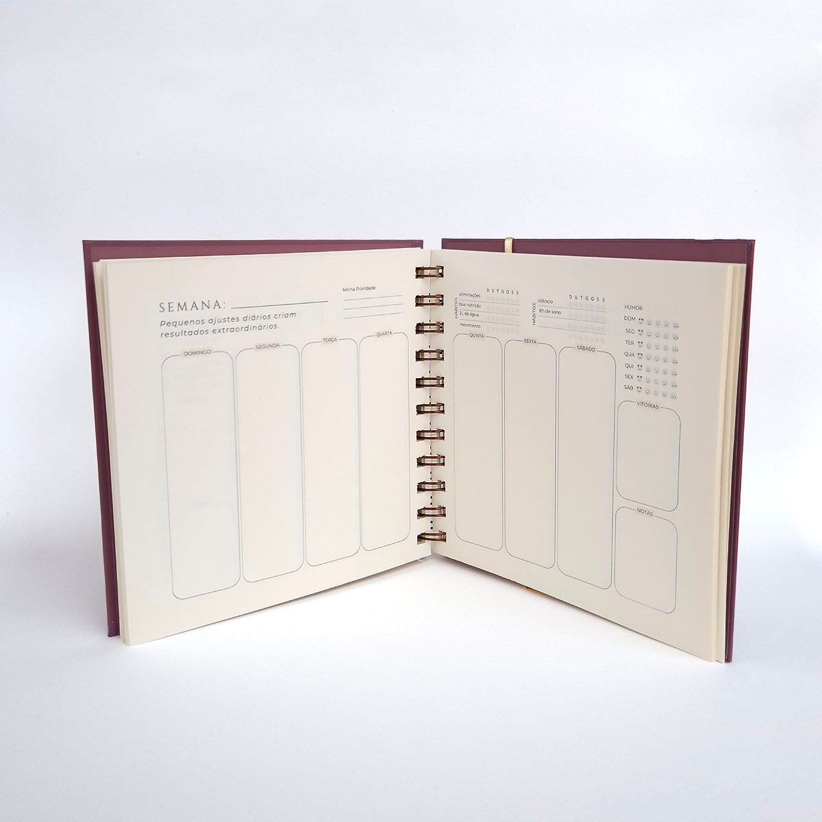 Planner 2026 - Rotina Real