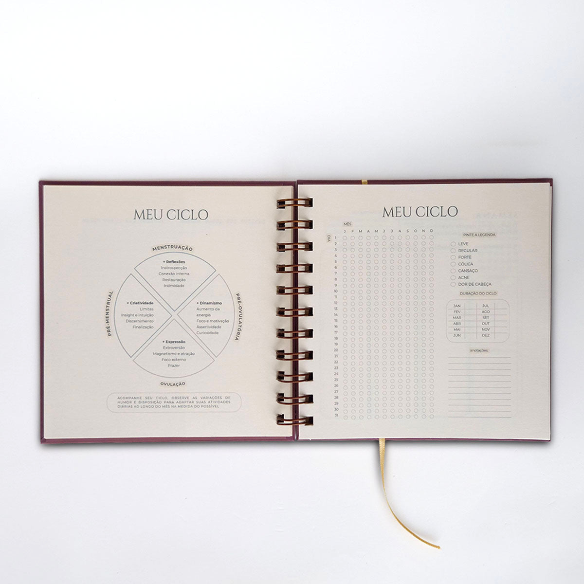 Planner 2026 - Rotina Real