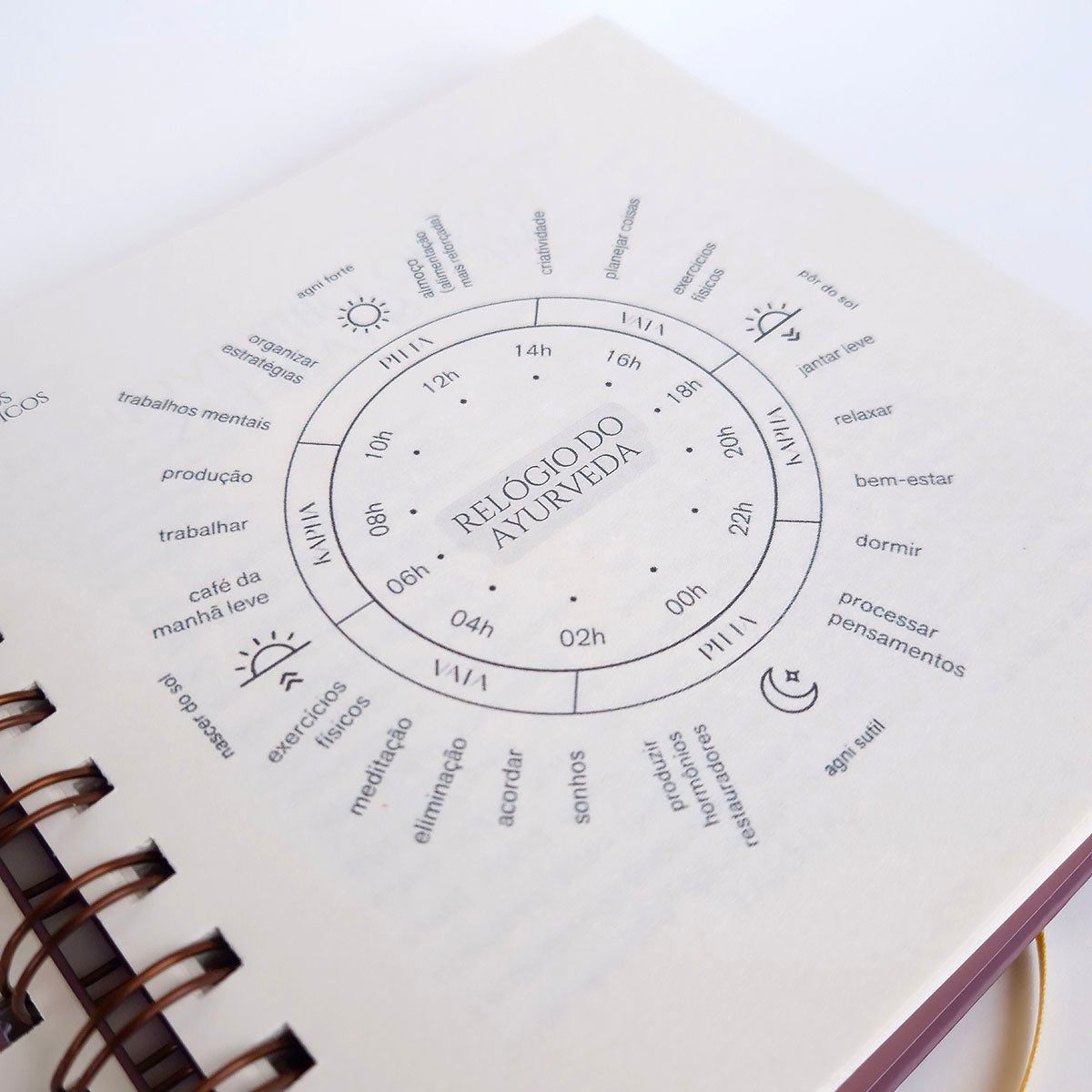 Planner 2026 - Rotina Real