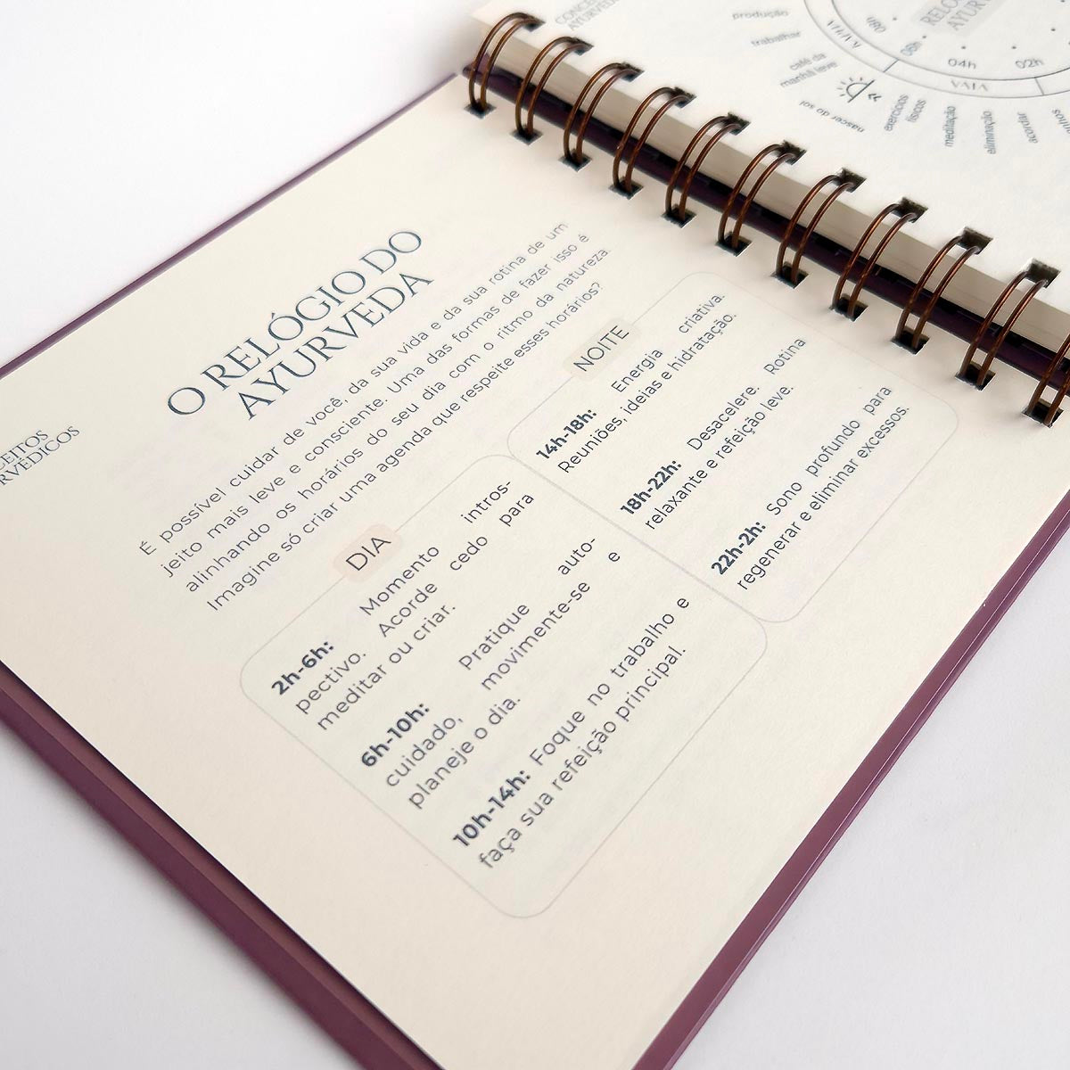 Planner 2026 - Rotina Real