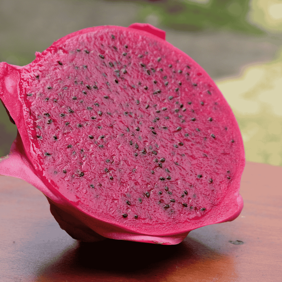 Sabonete Natural de Gerânio e Pitaya- Corporal