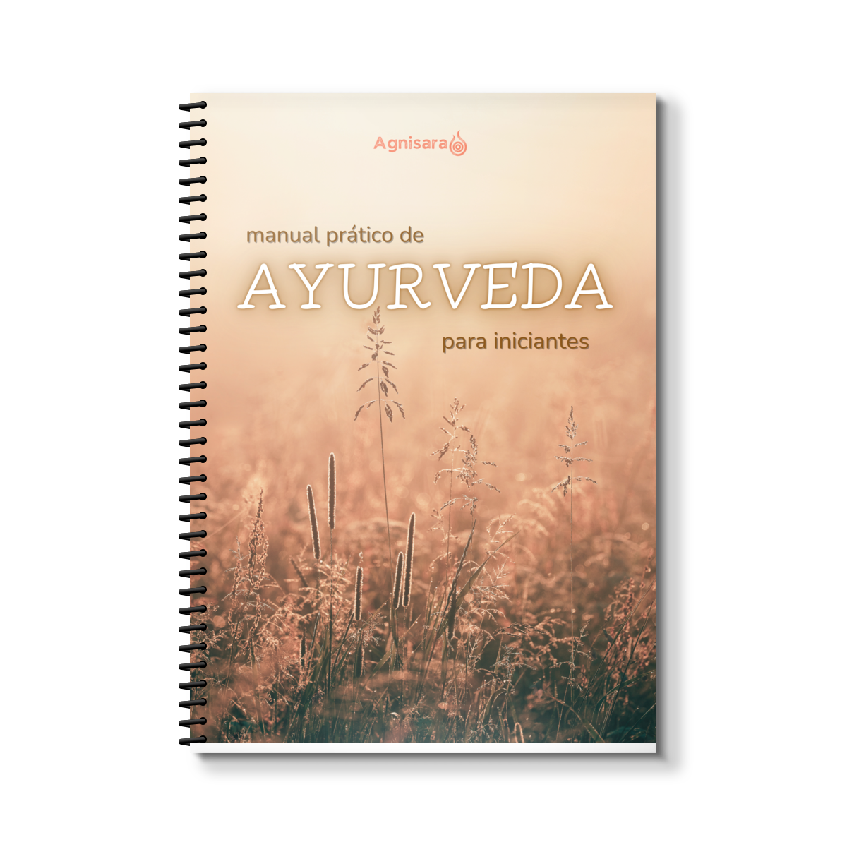 Guia Prático de Ayurveda para Iniciantes