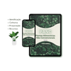 capa ebook panc verde